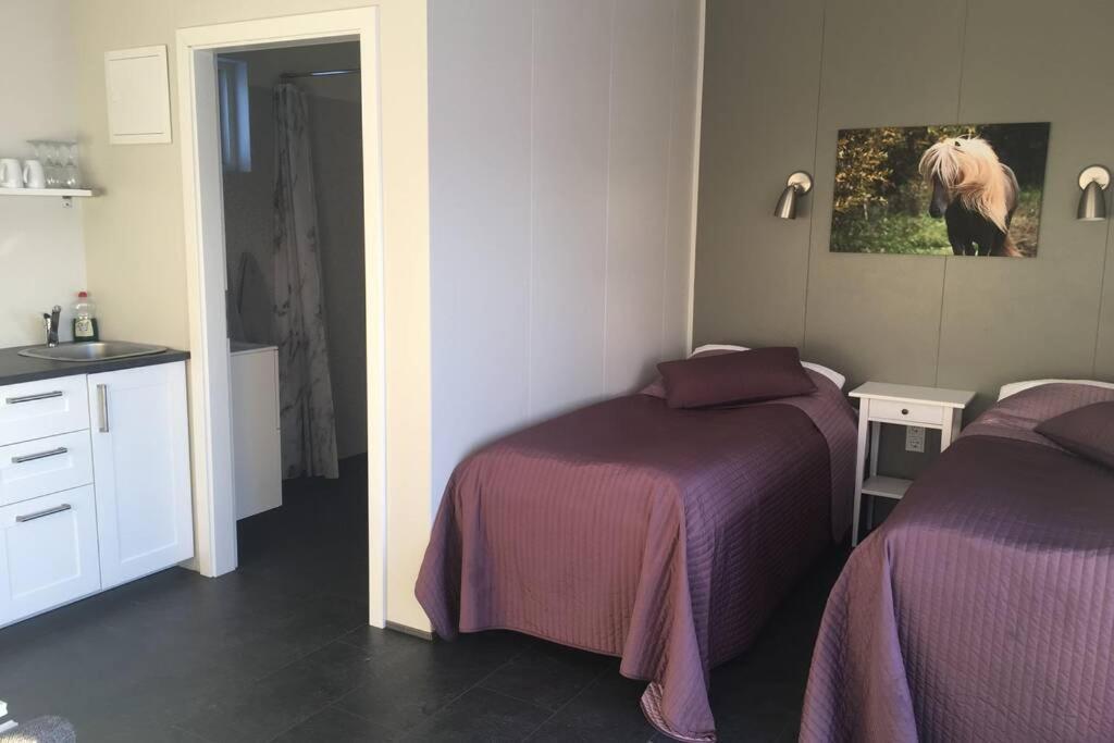 Stryta Apartment 3 Olfus Εξωτερικό φωτογραφία