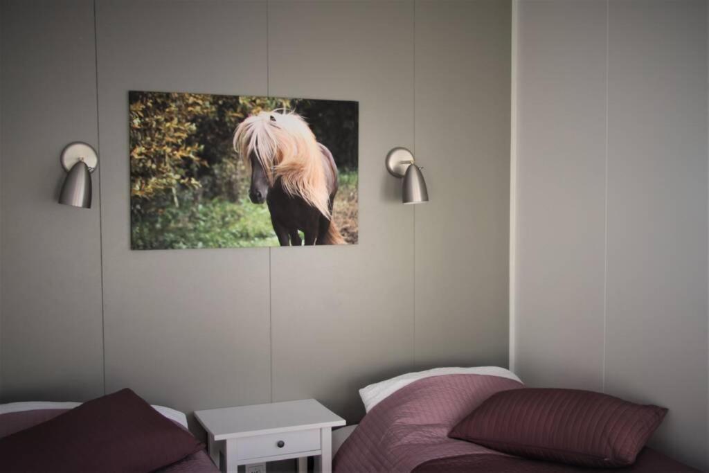 Stryta Apartment 3 Olfus Εξωτερικό φωτογραφία