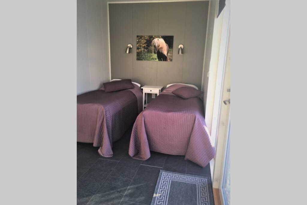 Stryta Apartment 3 Olfus Εξωτερικό φωτογραφία